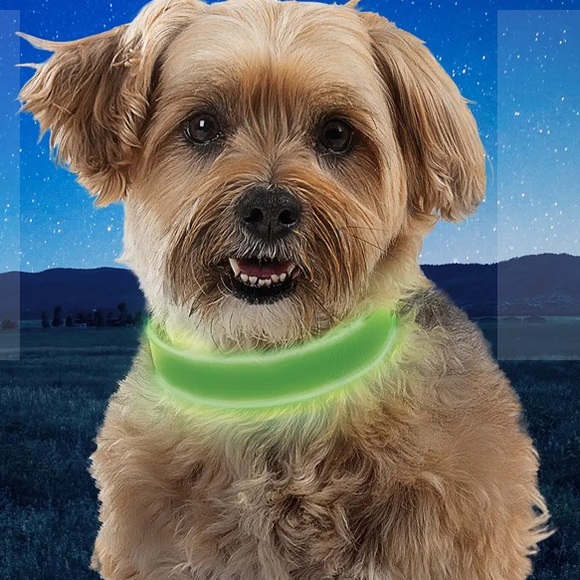 Other - NITEDOG® RECHARGEABLE LED COLLAR size Small